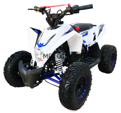 Квадроцикл детский Motax (Мотакс) GEKKON 90 (машинокомплект) белый/синий (машинокомплект)