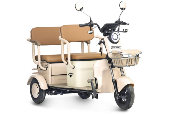 Пассажирский электротрицикл Rutrike (Рутрайк) Gelbert Atlas 48V/60V 600Вт | Мототека